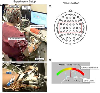 Altered Corticomuscular Coherence (CMCoh) Pattern in the Upper Limb During Finger Movements After Stroke